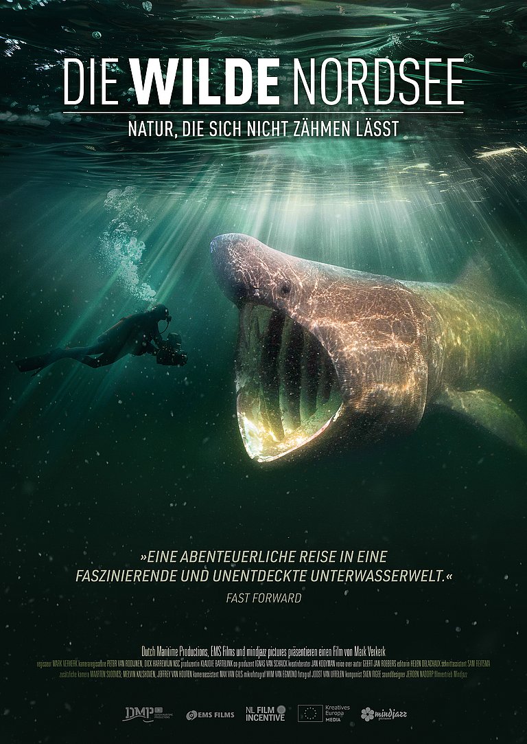 Filmplakat des Films Die wilde Nordsee - Natur, die sich nicht zähmen lässt