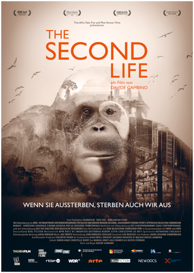 Filmplakat des Films PREVIEW: The Second Life – Das zweite Leben